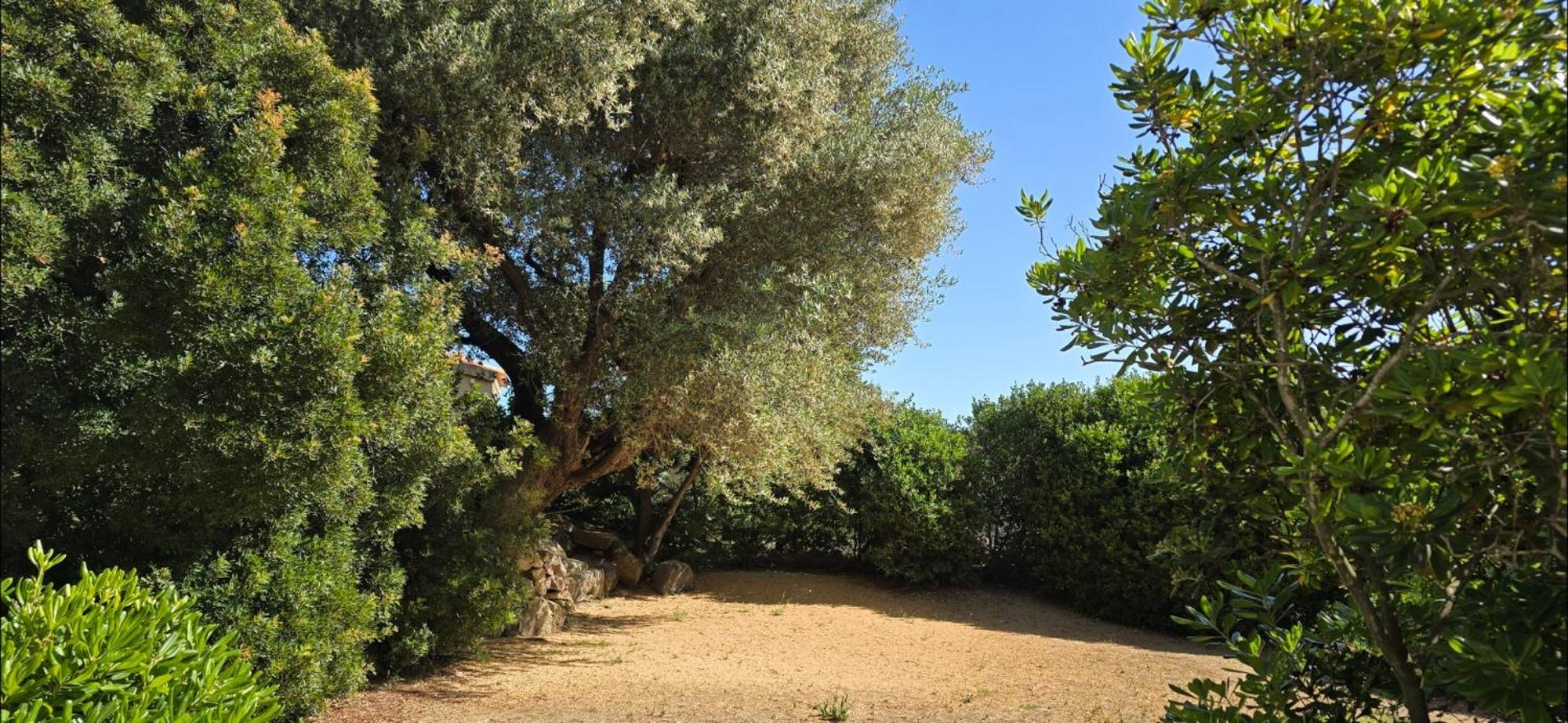 LʼÎle-Rousse Hotel Cala Di L'Oru מראה חיצוני תמונה
