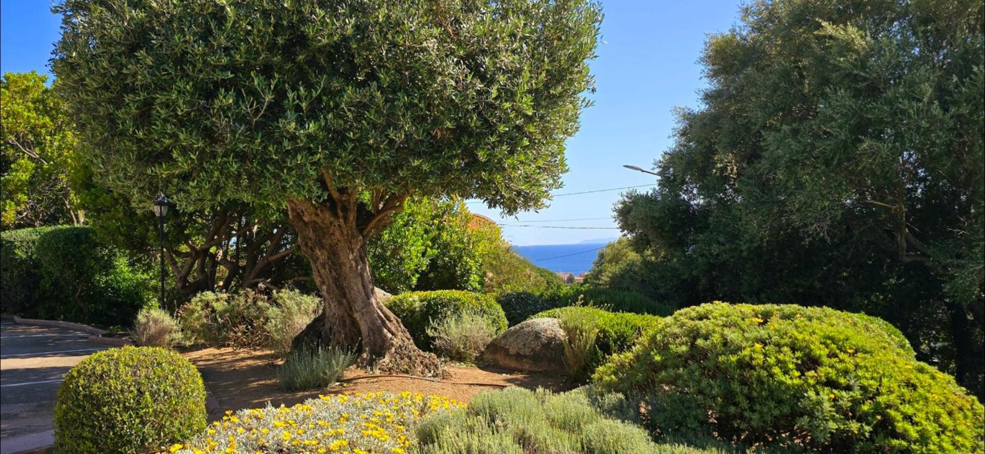 LʼÎle-Rousse Hotel Cala Di L'Oru מראה חיצוני תמונה